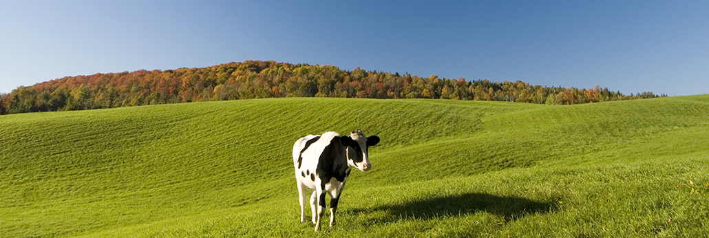 ÉÁÖÎè»á¹ÙÍø-×·Çó¿µ½¡,ÄãÎÒÒ»ÆðÉú³¤